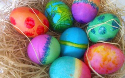 Eggs-tra Special Holiday – Transition Day 3