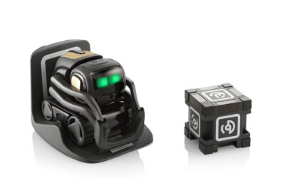 Vector the Robot