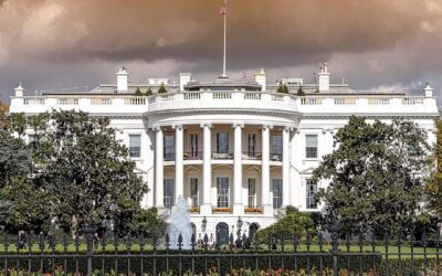 Project 7 – White House Petitions:  Part 3