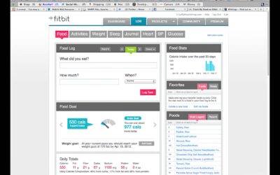Food Tracking and the FitBit – Diet Day 35